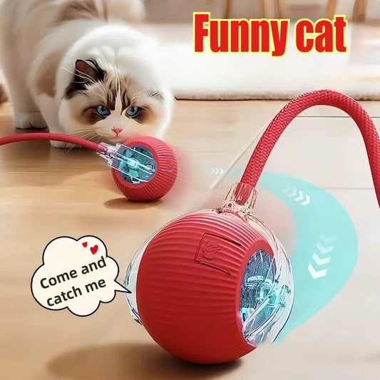 Balle Intelligente pour Animaux